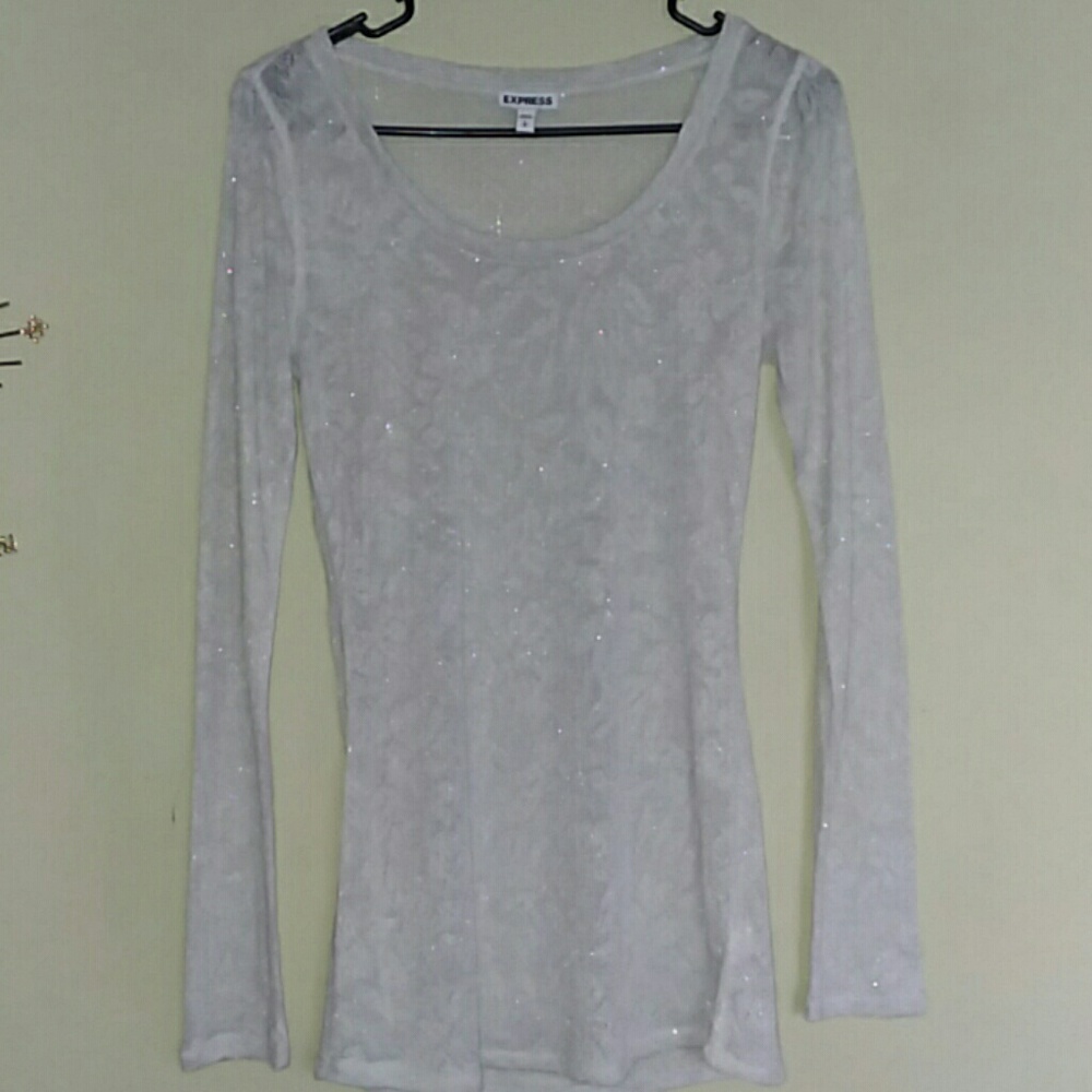 Express shimmering sweater